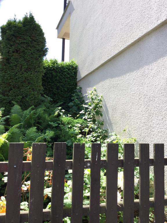 Apartament Lydiavi Vysoké Mýto Zewnętrze zdjęcie