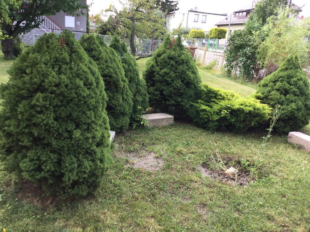 Apartament Lydiavi Vysoké Mýto Zewnętrze zdjęcie